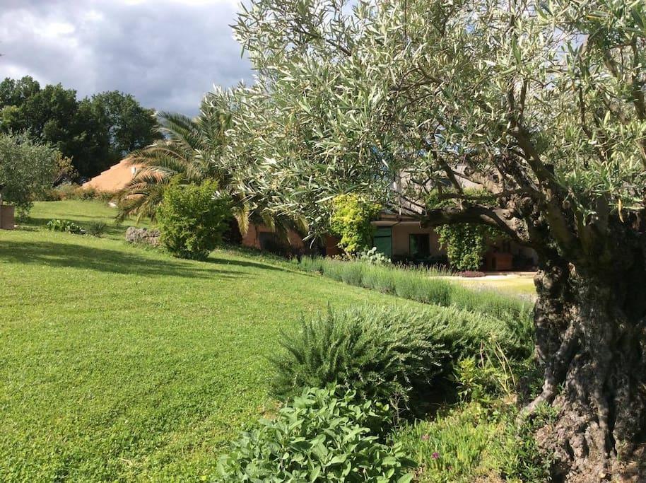 Ferienwohnung Il Podere Degli Ulivi Colmurano Exterior foto