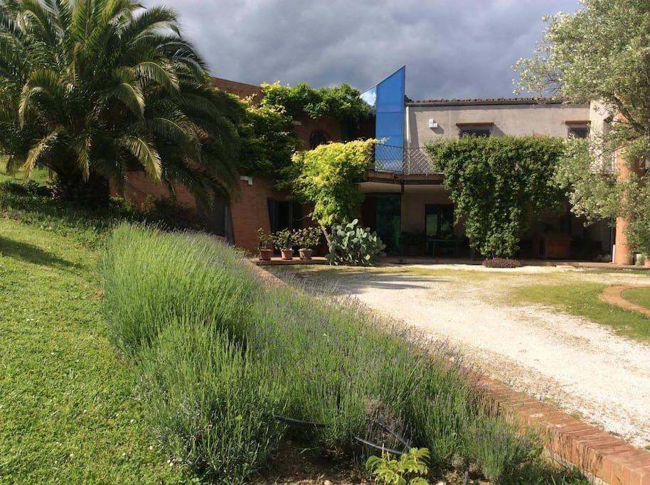 Ferienwohnung Il Podere Degli Ulivi Colmurano Exterior foto